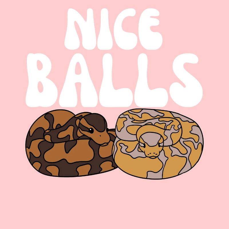 Serpent python royal