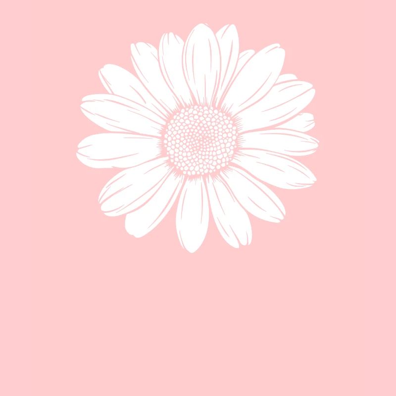 Gänseblume Gänseblümchen