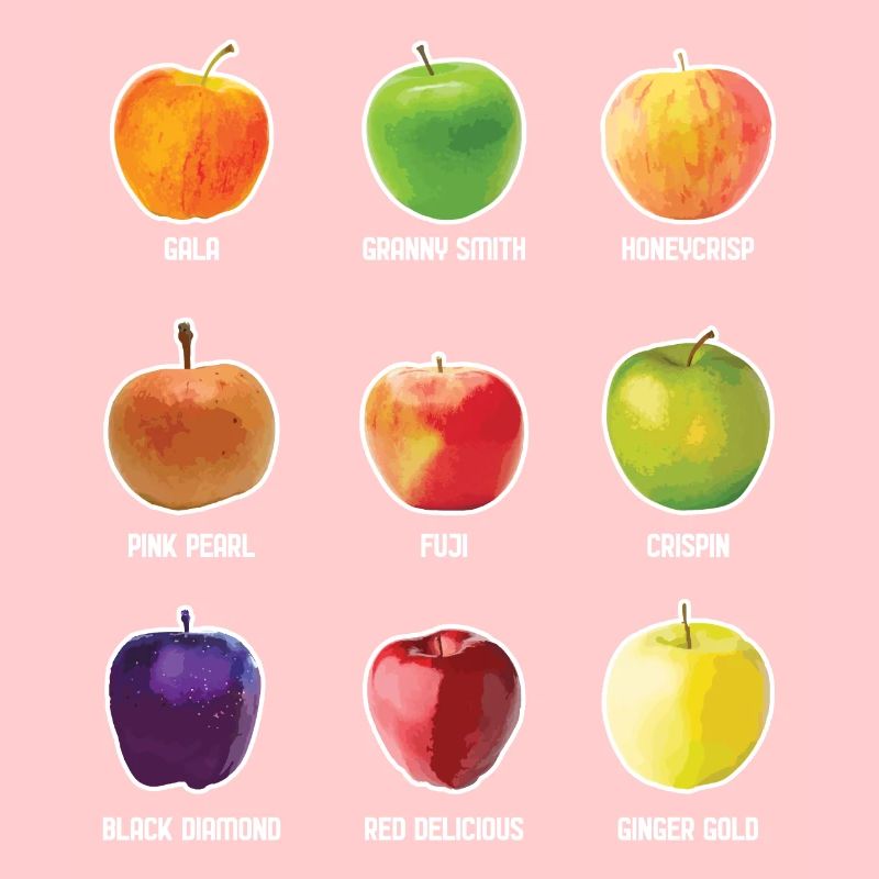 Apple Varieties Different Apples Fruit Apple