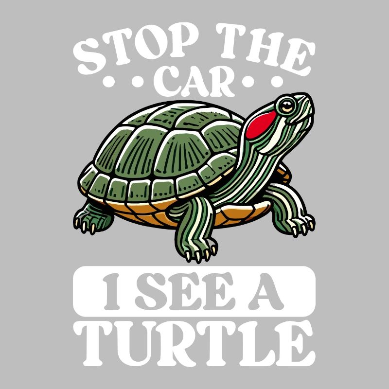 Turtle Red-eared Turtle