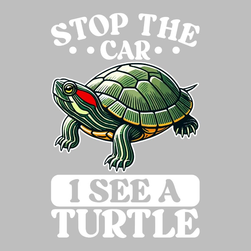 Turtle Red-eared Turtle