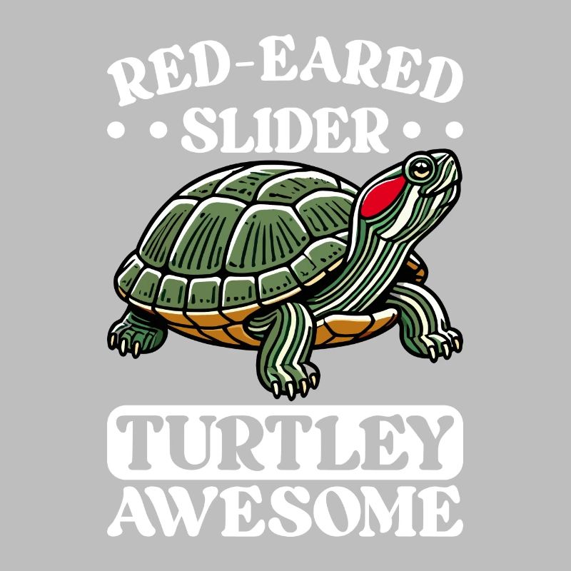 Turtle Red-eared Turtle