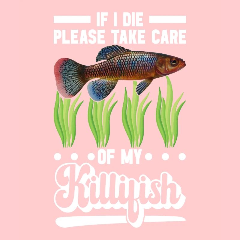 Killifish Quarium Fish