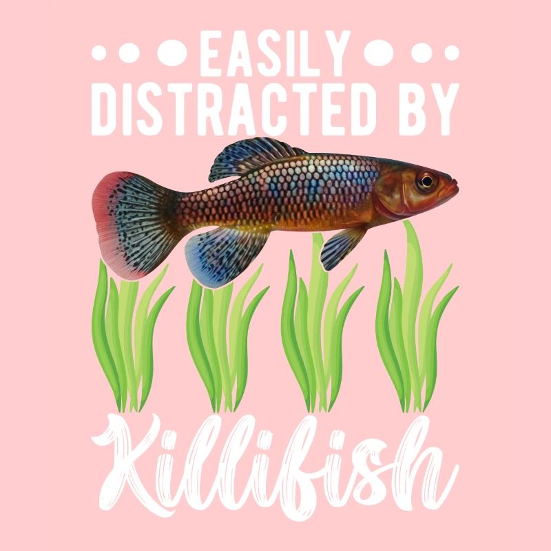 Killifish Quarium Fish