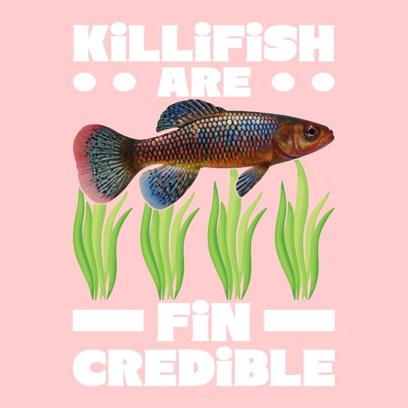 Killifish Quarium Fish