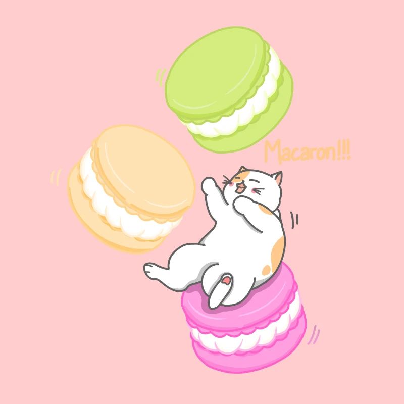 Chat et Macaron