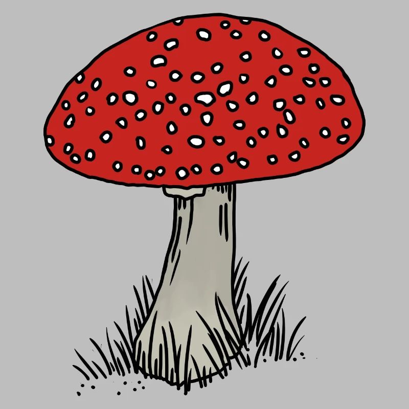 Toadstool coloré