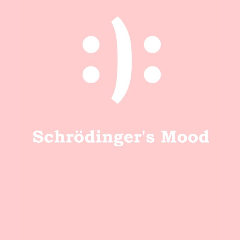 Schrödingers Gesicht Physik Nerd Lehrer Geschenk