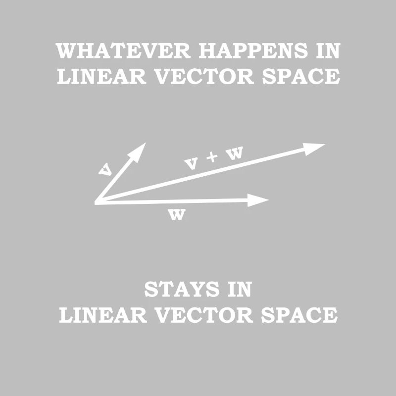 Mathematician vector space math teacher gift