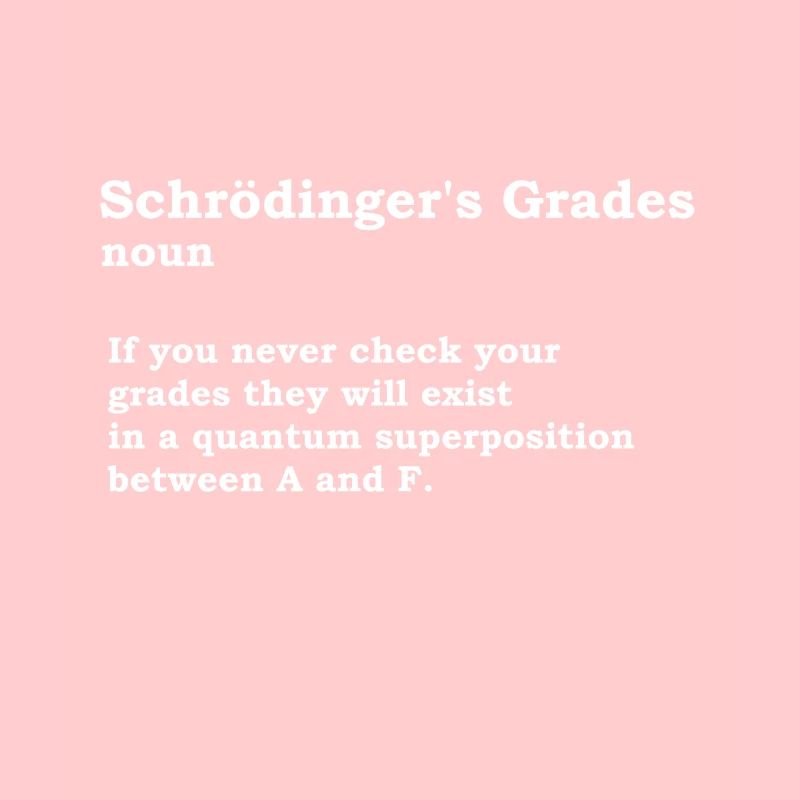 Schrödinger note physique nerd science cadeau