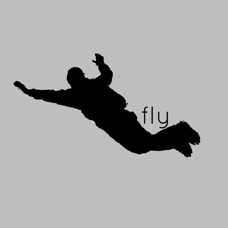 Fly