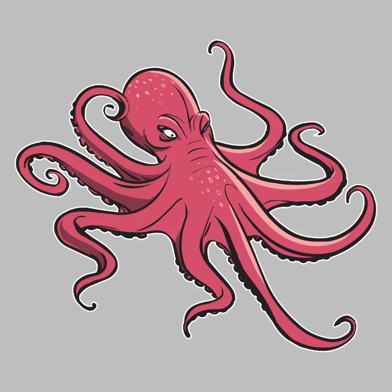 I like octopus - eight tentacles - squid