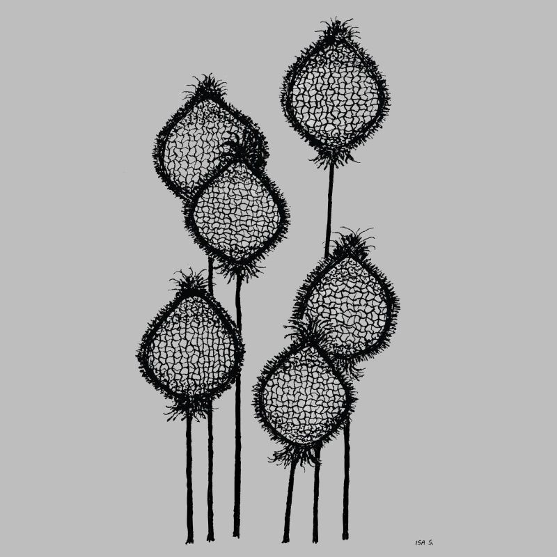 Mohnknospen oder Ananas am Stiel? Schwarz abstrakt