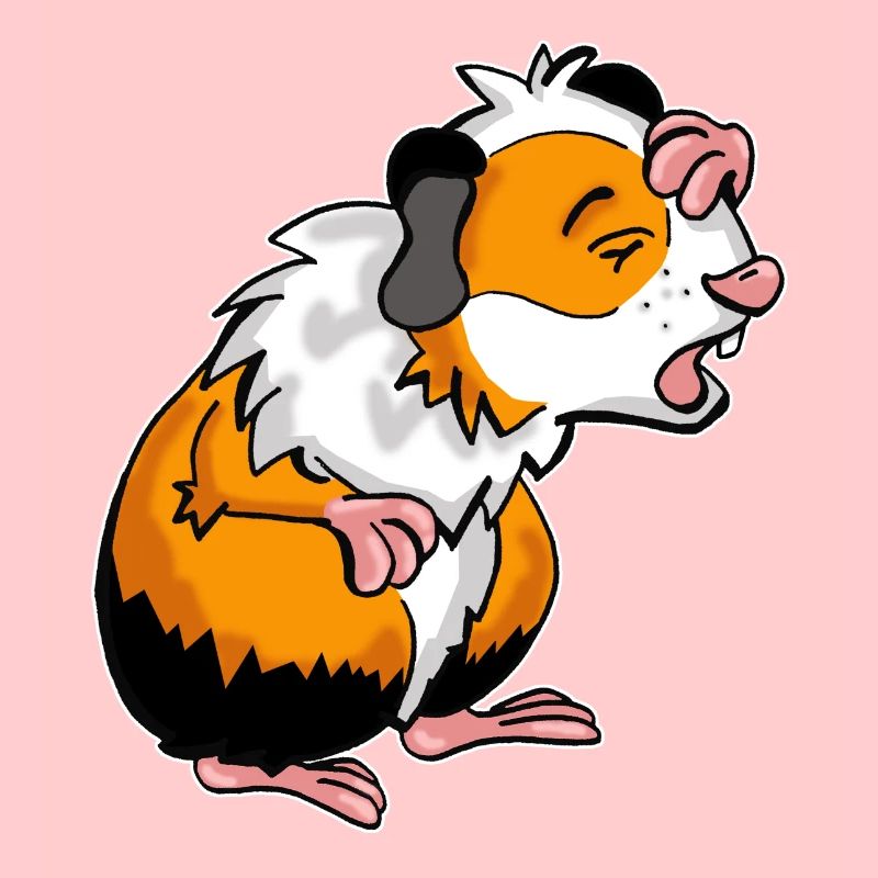 Bande dessinée de cochon d'Inde