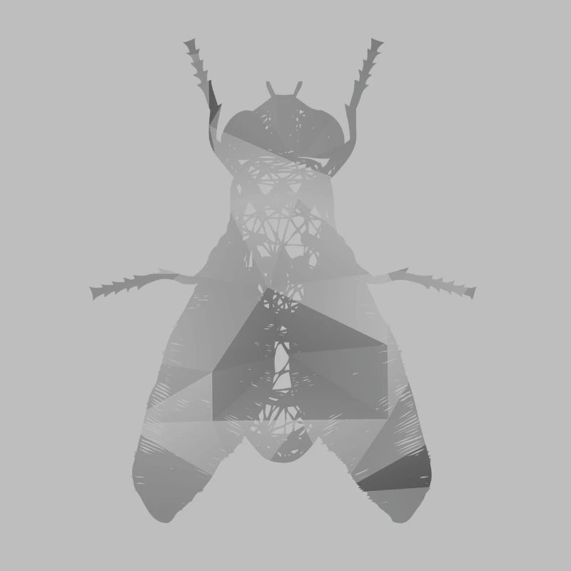 Fliege