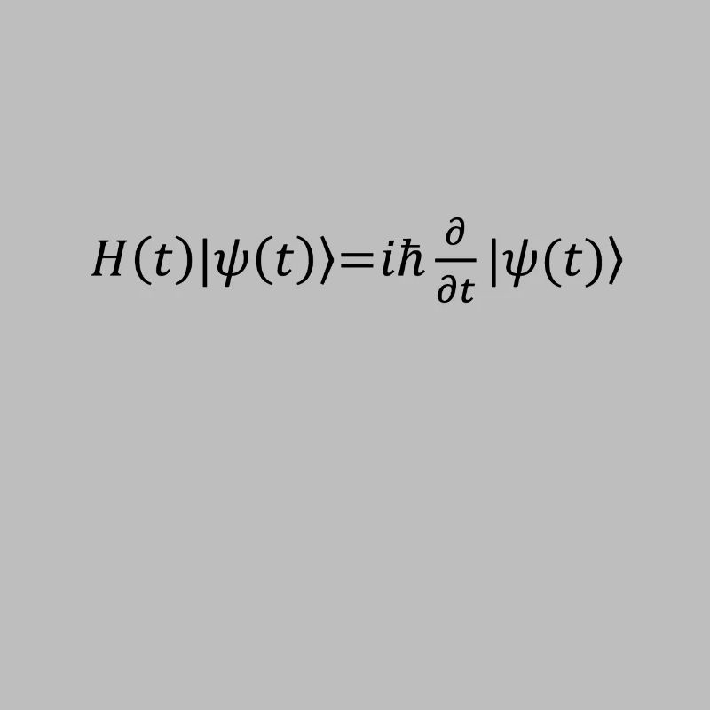 Schrödinger Equation Physicist Gift Physics