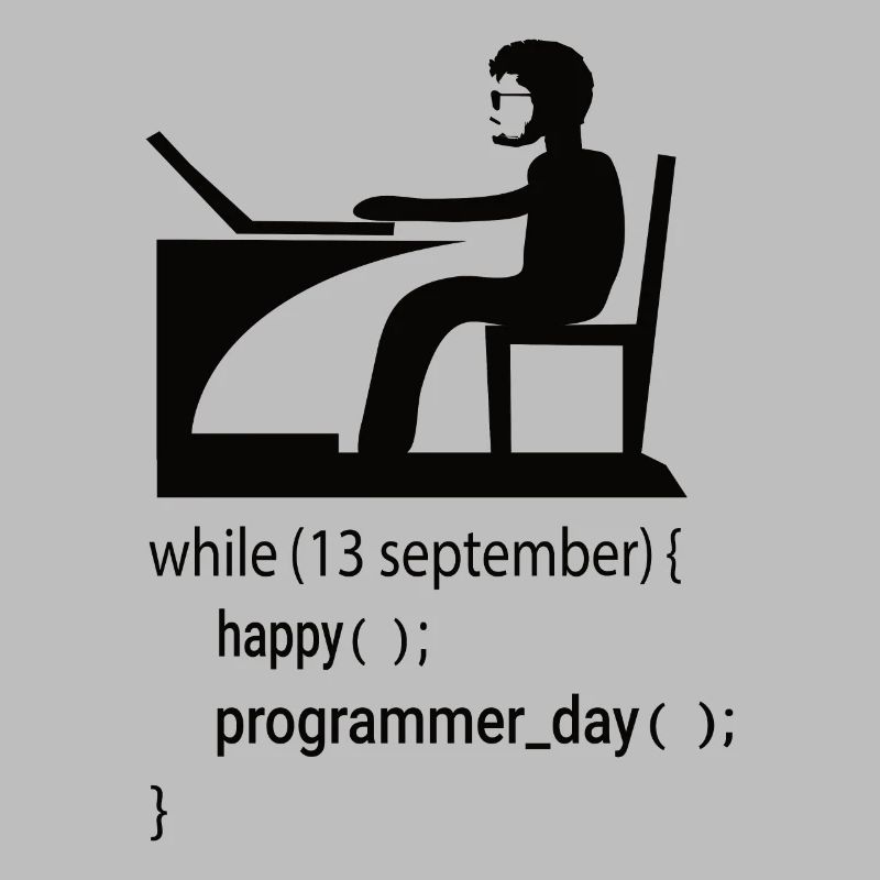 Softwareentwickler Programmierer Geschenk