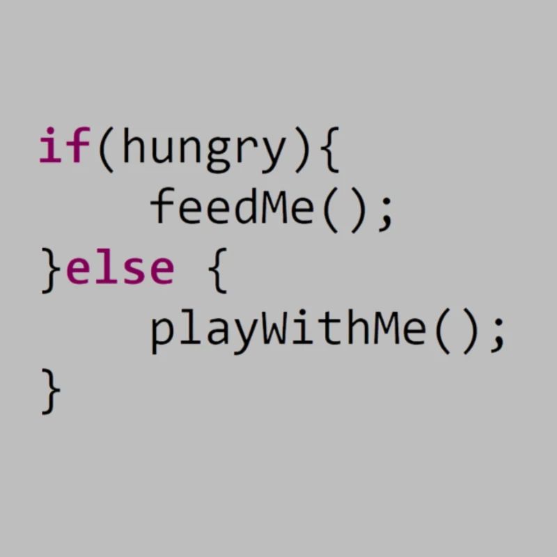 Hungry Java programmer