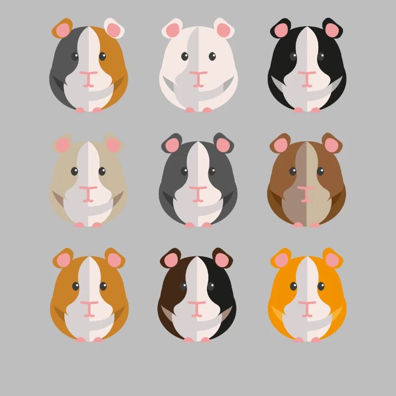 Famille de gangs de cochons d'Inde