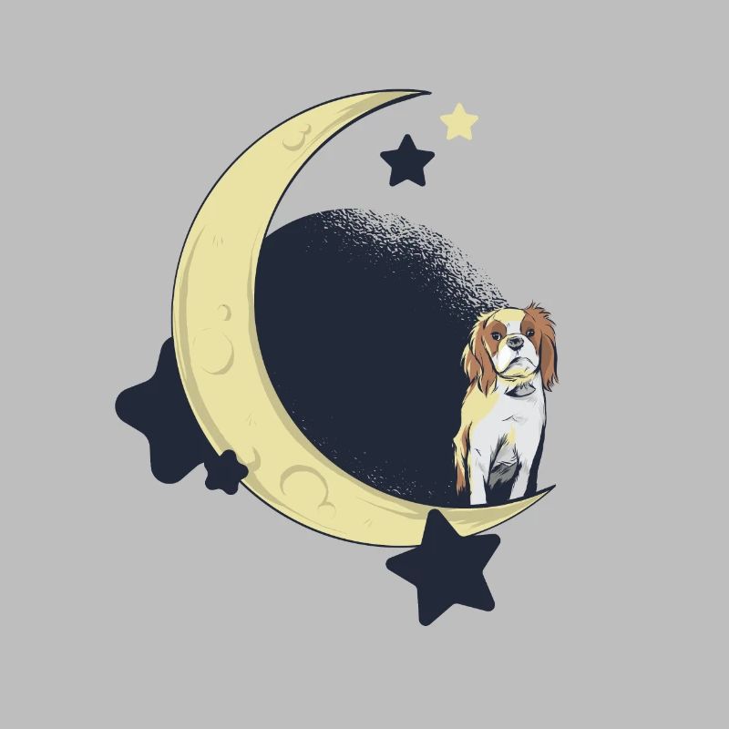 Cavalier King Charles Spaniel