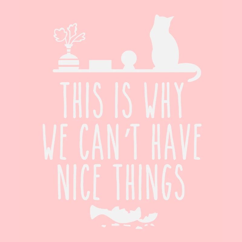 this is why we cant have nice things