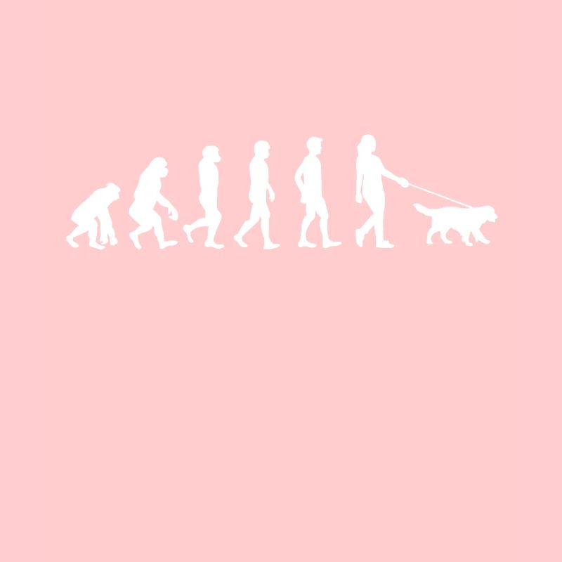 Évolution de la promenade des chiens