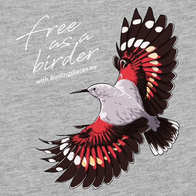 Birdingplaces Wallcreeper Free as a Birder II