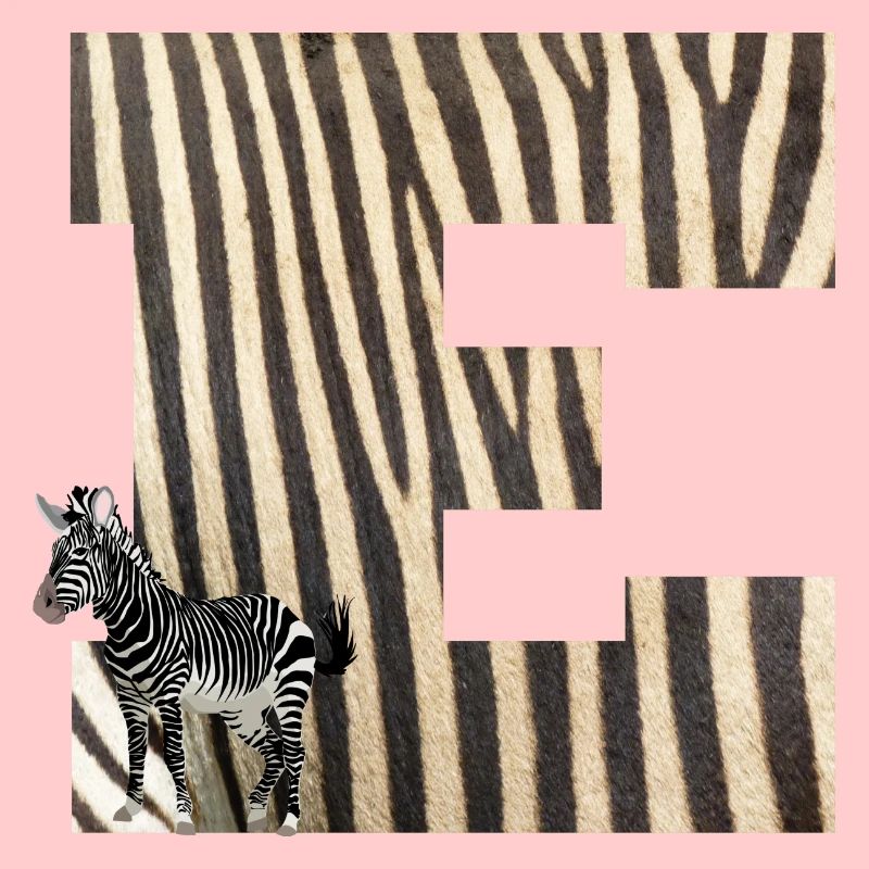 zebra e