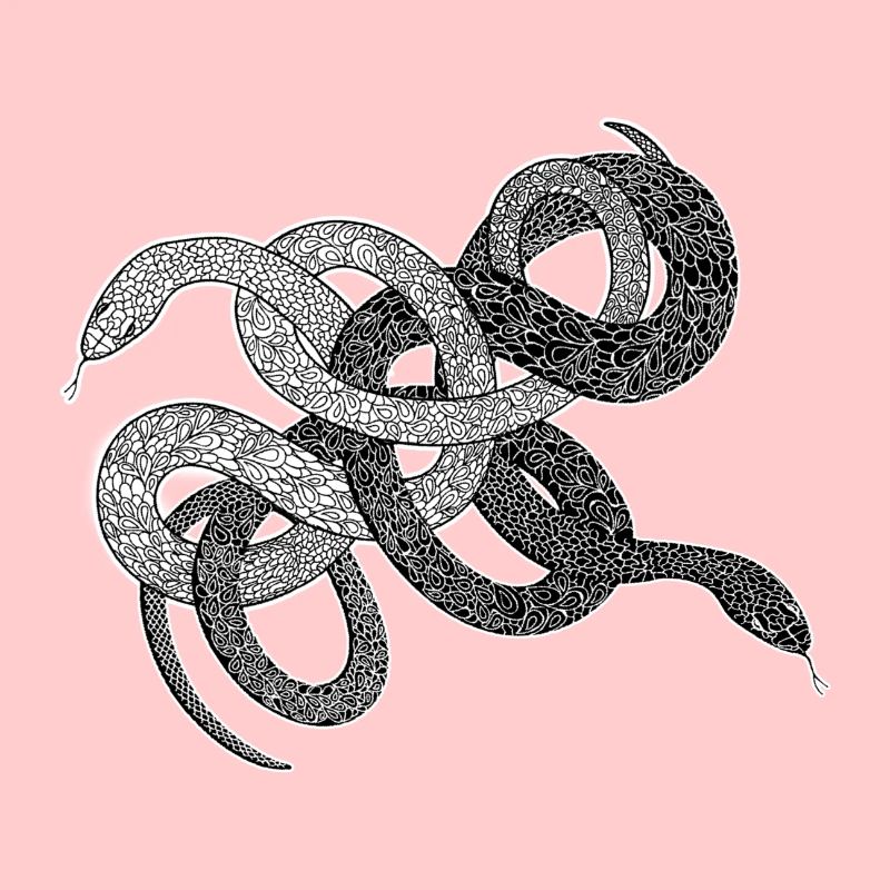 Schlangen Geschenk python anaconda snake