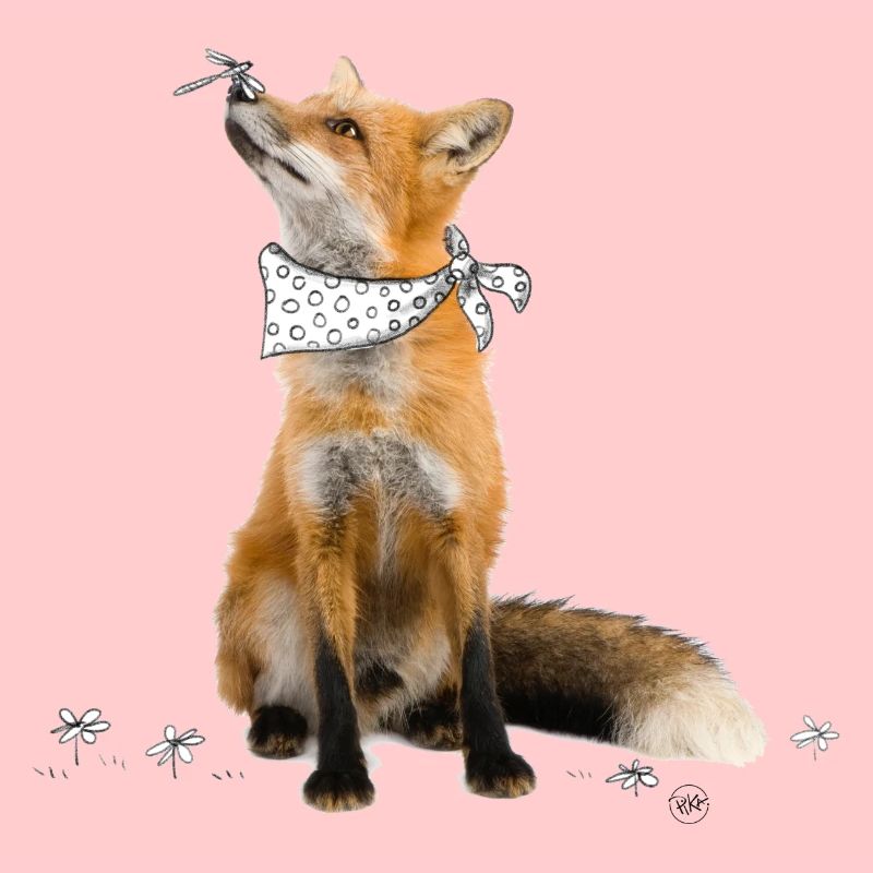 Fuchs