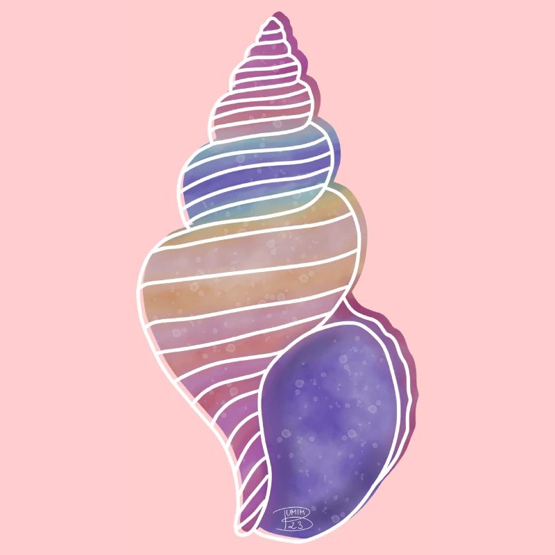 « Snail Shell », Boho Line Art Design, « Shells »