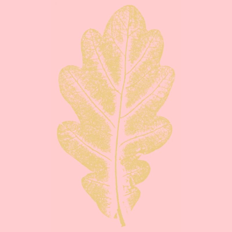 Eichenblatt - Khaki- Blatt/ Eiche/ Baum