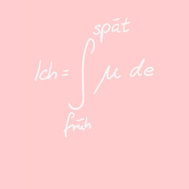 Integral Müdigkeit Mathematik Spass