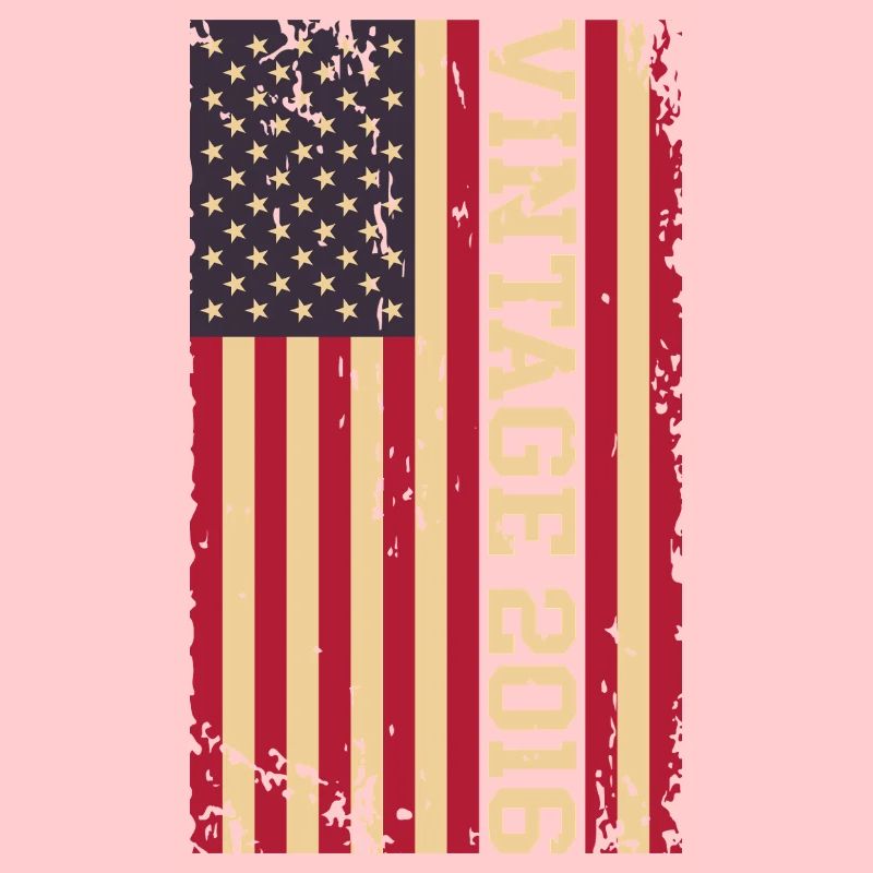 Vintage 2016 US Flag