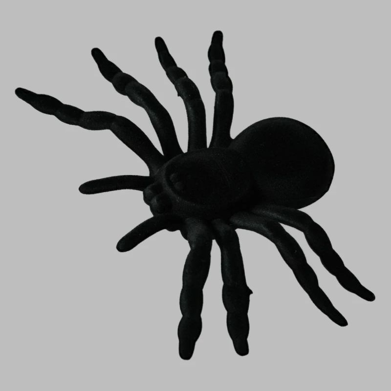Spider Web, Spider Web, Spider Phobia, Disgusting Gift