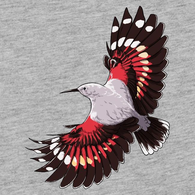 Birdingplaces Wallcreeper
