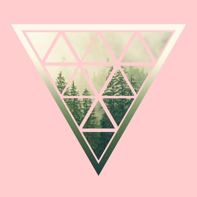 Forêt de triangle