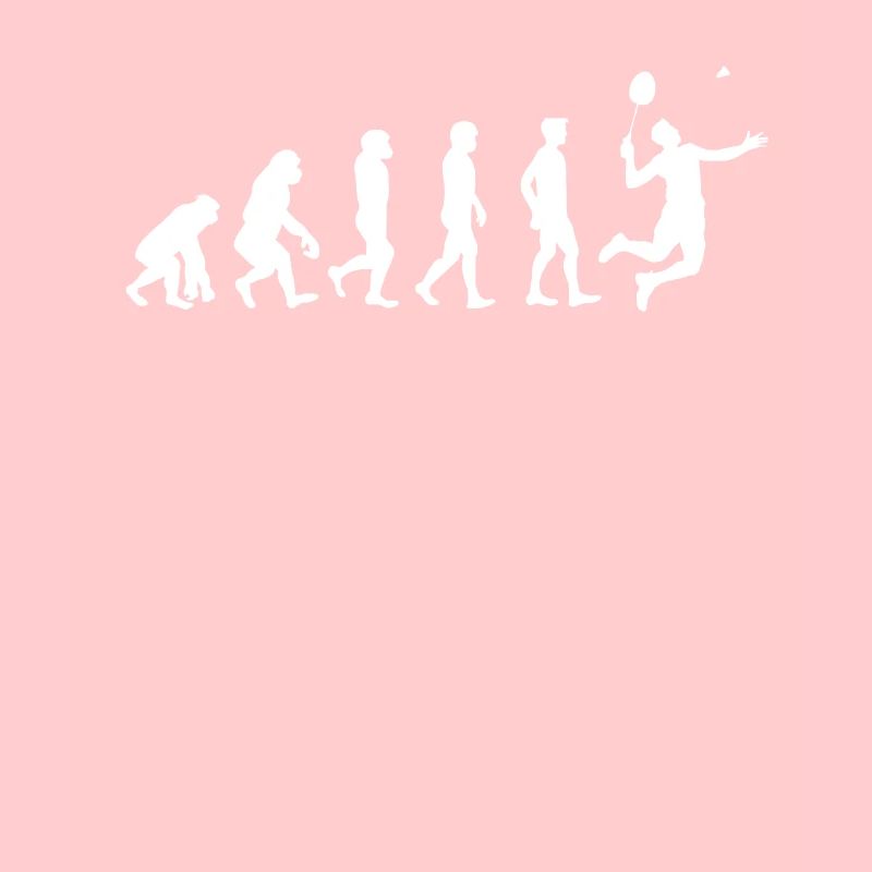 Badminton evolution gift