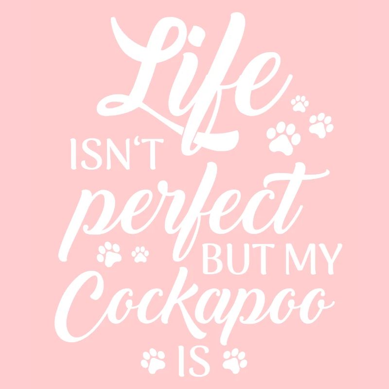 Cockapoo Hund