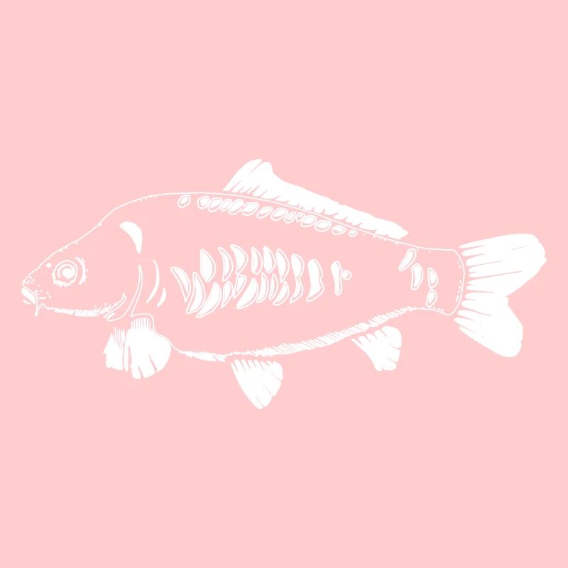 letzterWurf - White Carp - Karpfen