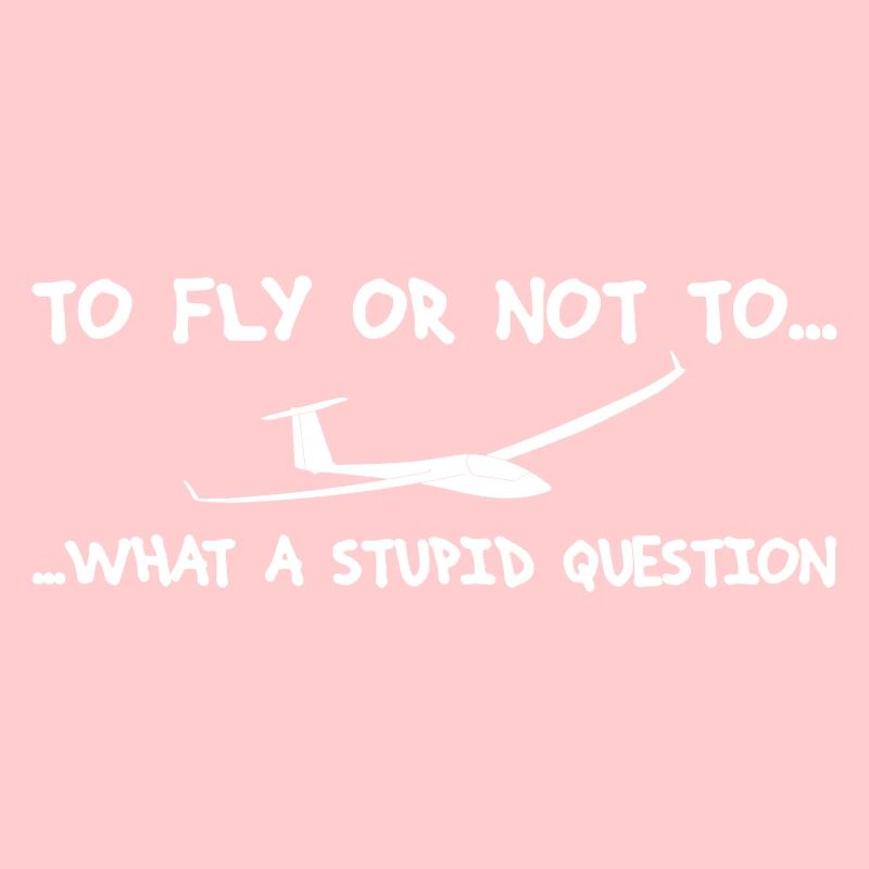 Question pilot glider pilot gliding glider