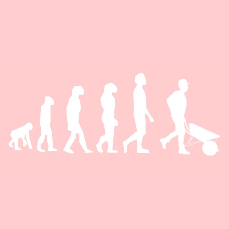 évolution chantier - brouette