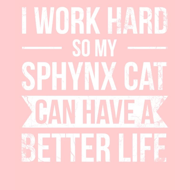 Ich Arbeite Hart, Damit Meine Sphynx-katze Ein