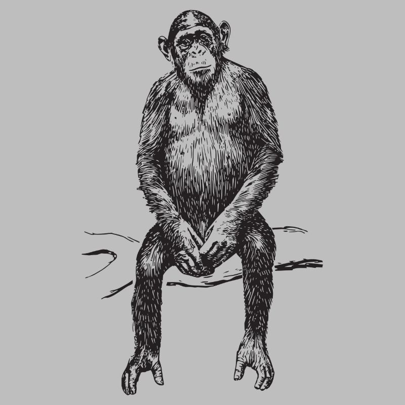 Monkey chimpanzee gift funny cute joke monkey