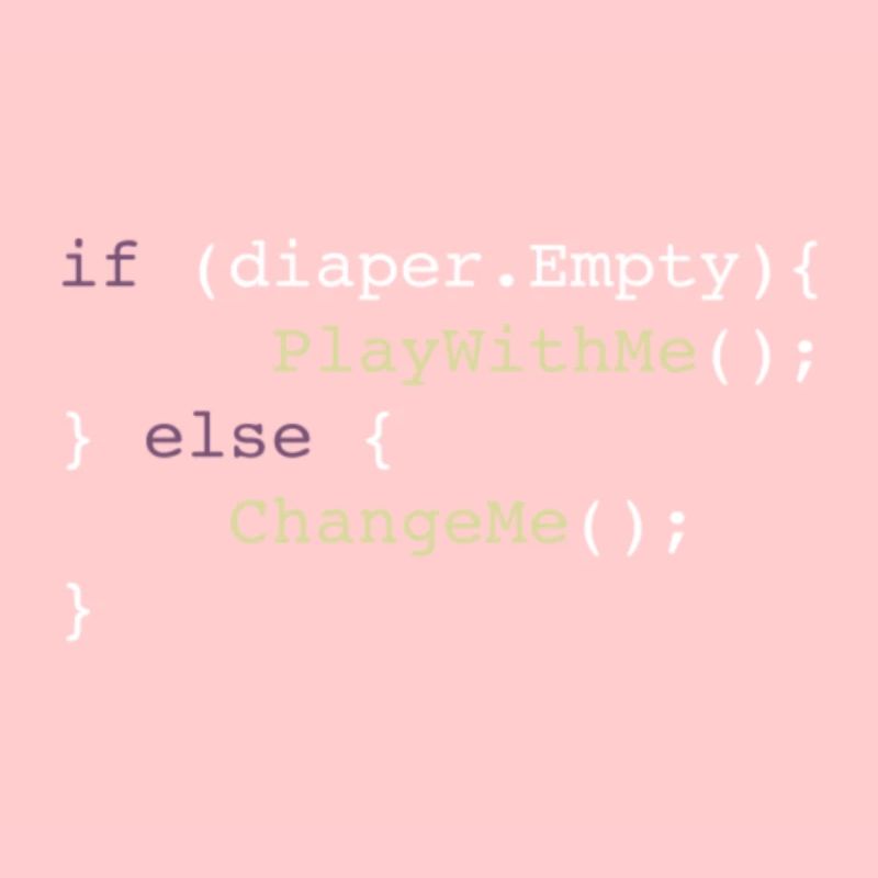 Corps du programmeur