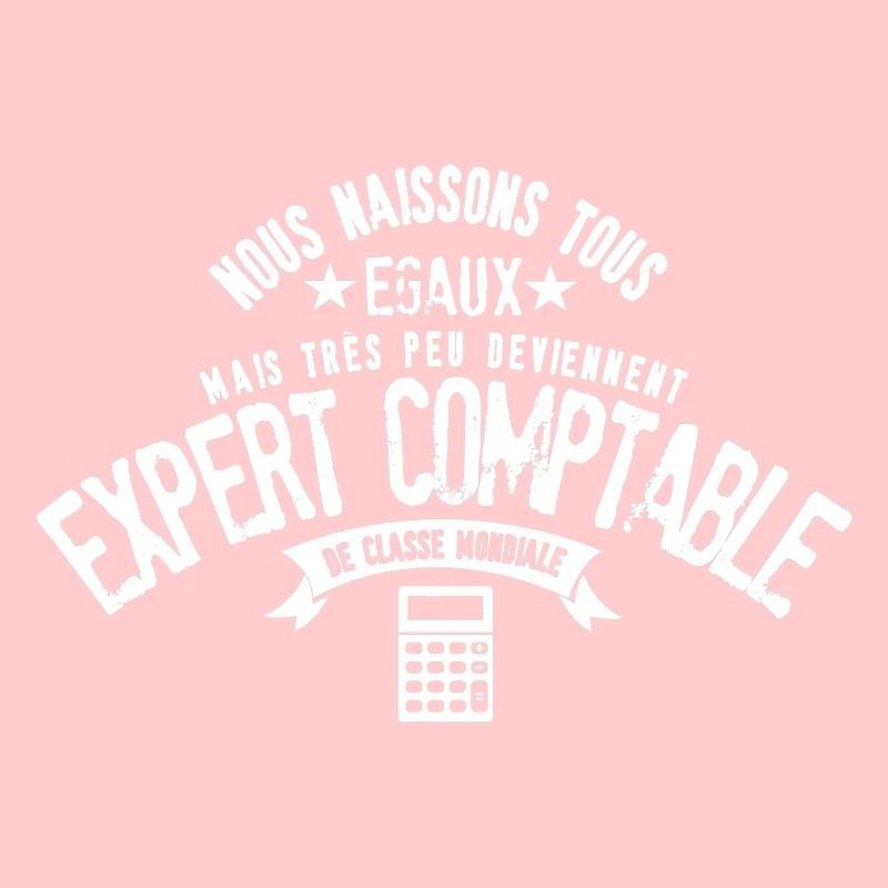 Expert Comptable