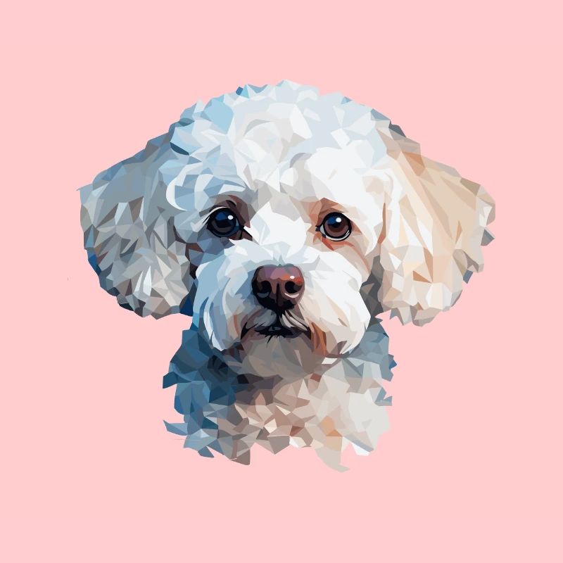 Conception de polygones caniche