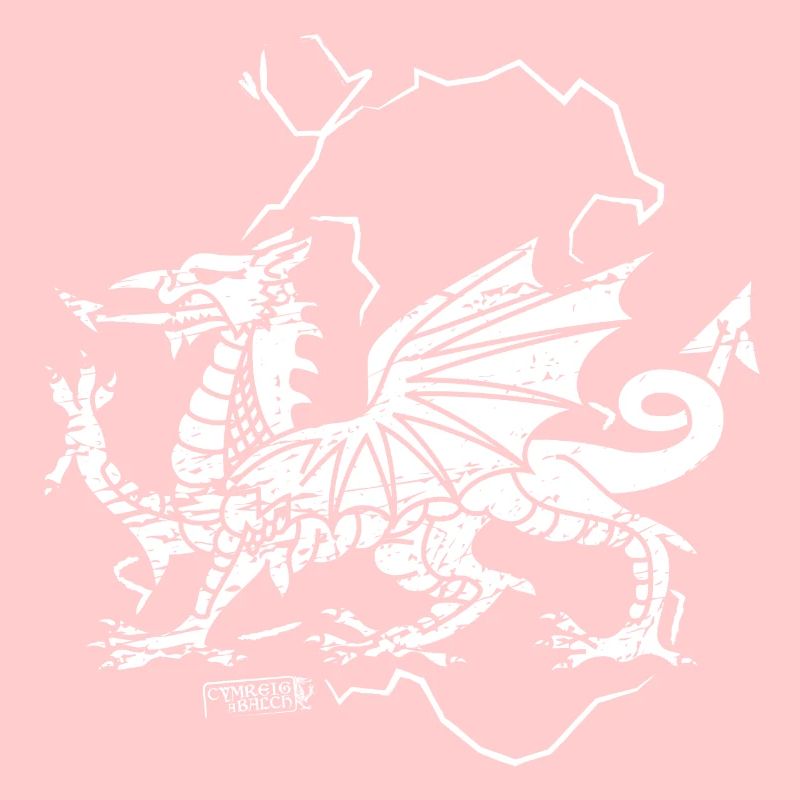 Rustikaler walisischer Drache
