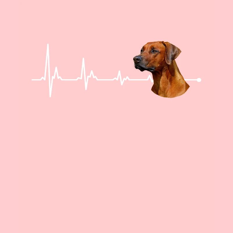 Rhodesian Ridgeback