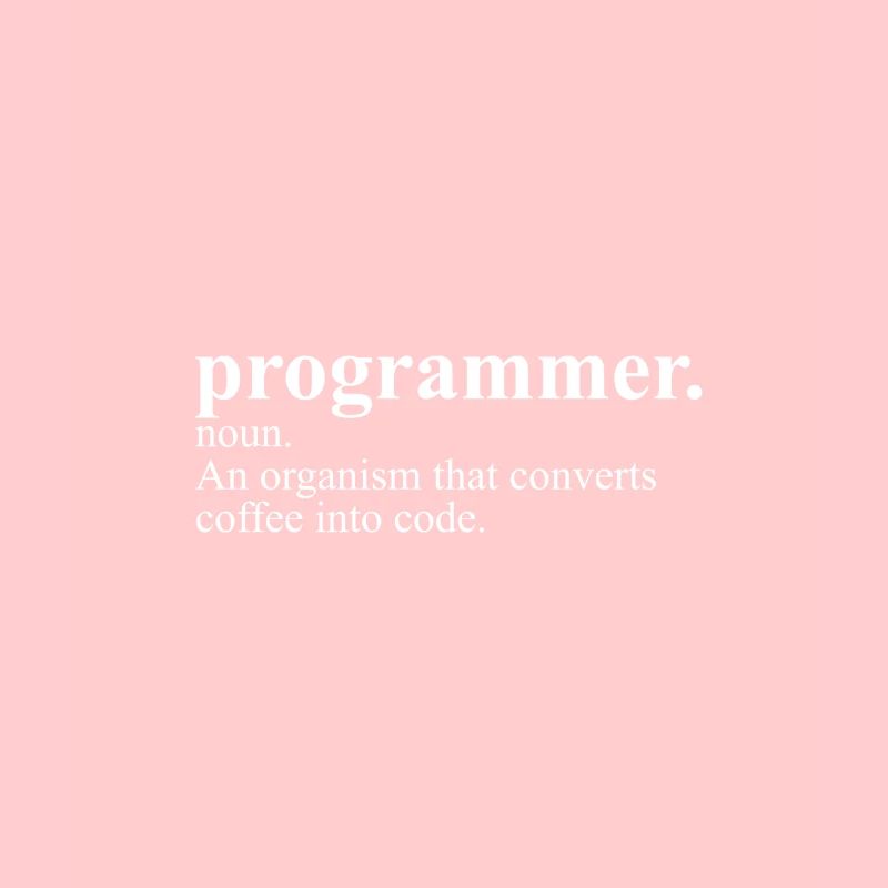 Programmierer-Definition